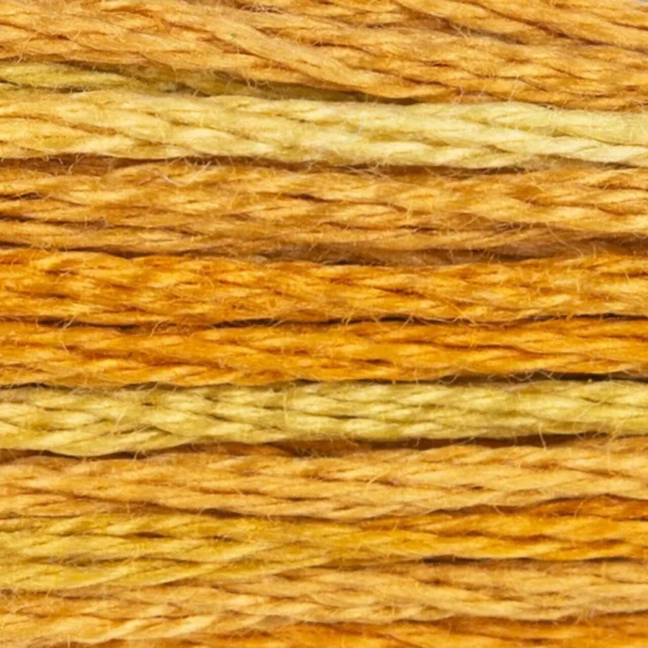 DMC Embroidery Floss, 6-Strand Multi-Color Variations - Gold Coast